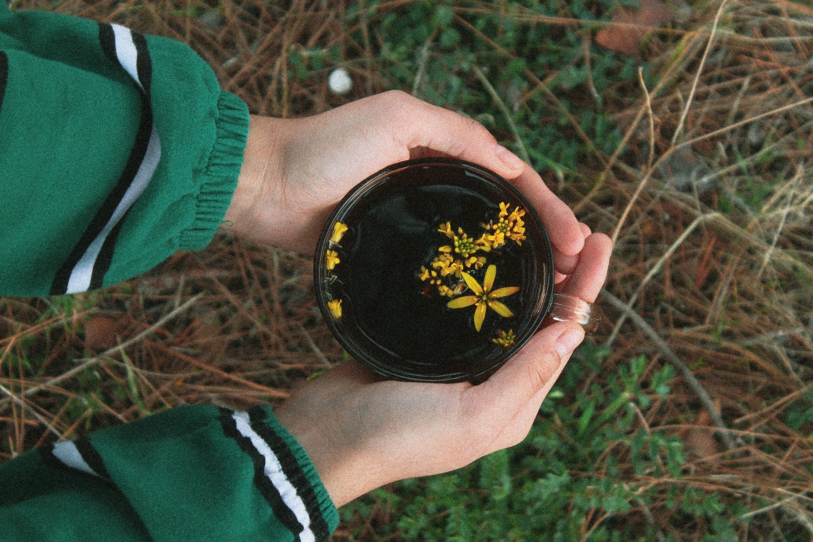 ayahuasca